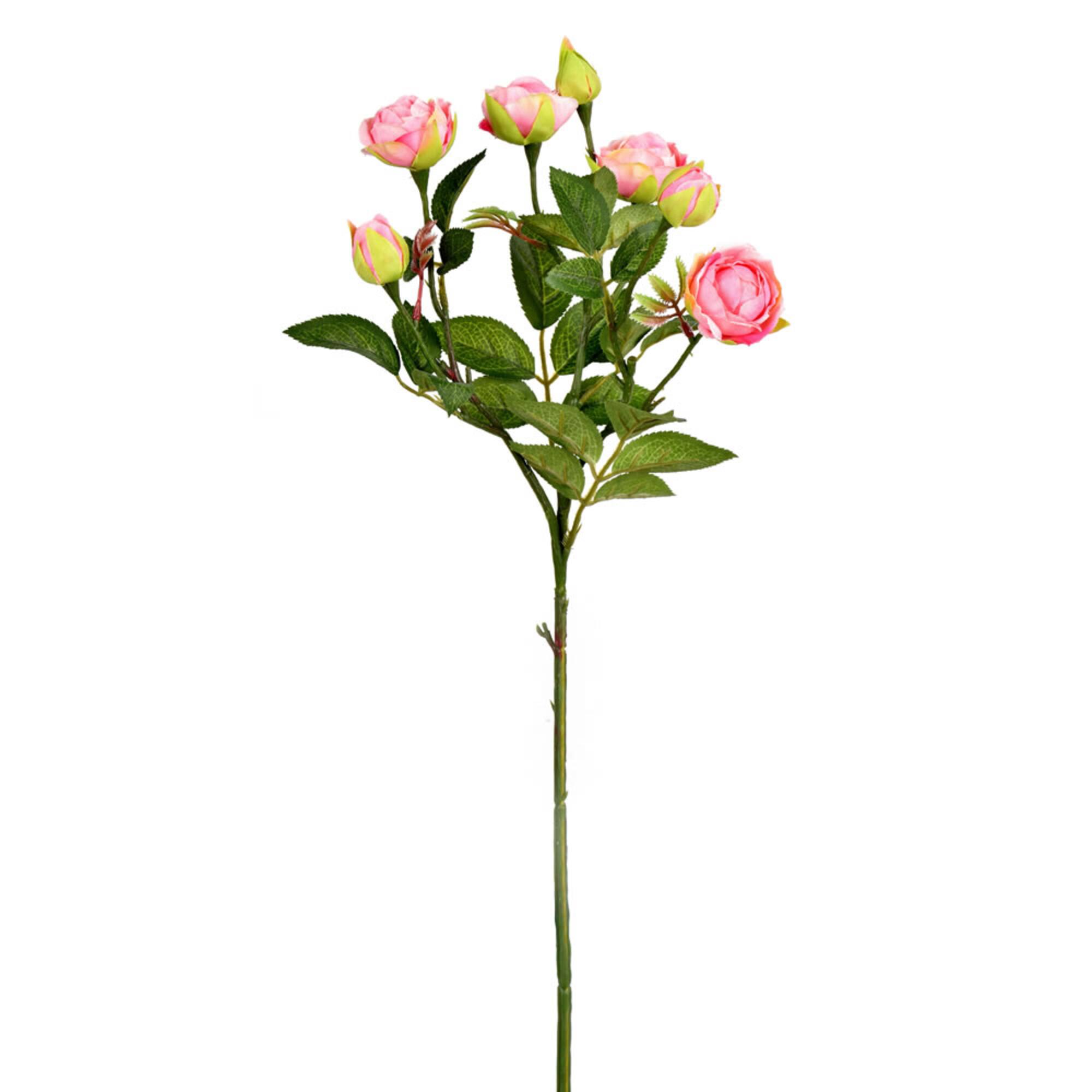 Tea Rose Spray